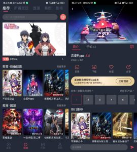 次元站 去广告纯净版-知云阁资源站
