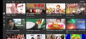 BBLL-B站第三方TV客户端-知云阁资源站