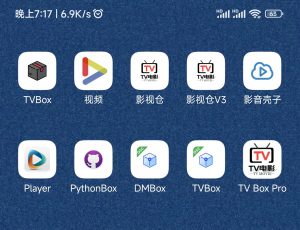 TVBox–TV盒子影视神器【附视频源和下载地址】【附自带源软件】-知云阁资源站