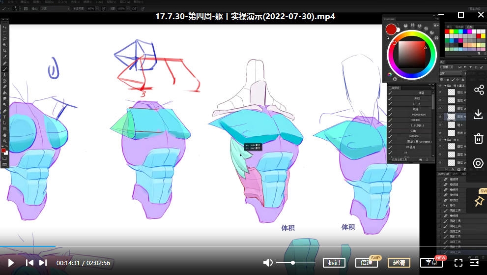007.tenten云2022年人体结构动态基础第五期【画质高清有课件没笔刷】-知云阁资源站