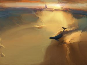 2023.2.7会员群资源-工具类（4款）-知云阁资源站