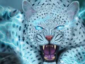 2023.2.11会员群资源-短视频剪辑专题（5款）-知云阁资源站