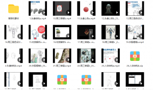 009.zeenchin角色基础设计2021【画质一般有笔刷和素材】-知云阁资源站