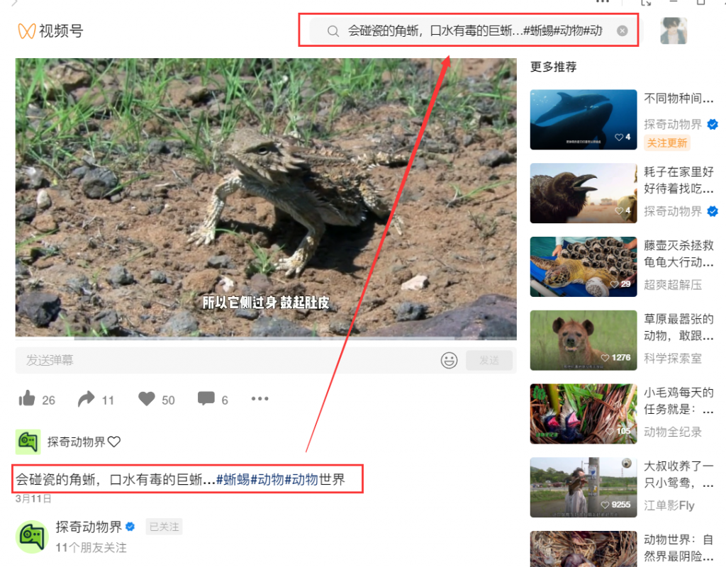 图片[5]-视频号嗅探下载器-吾爱版-最新教程-知云阁资源站