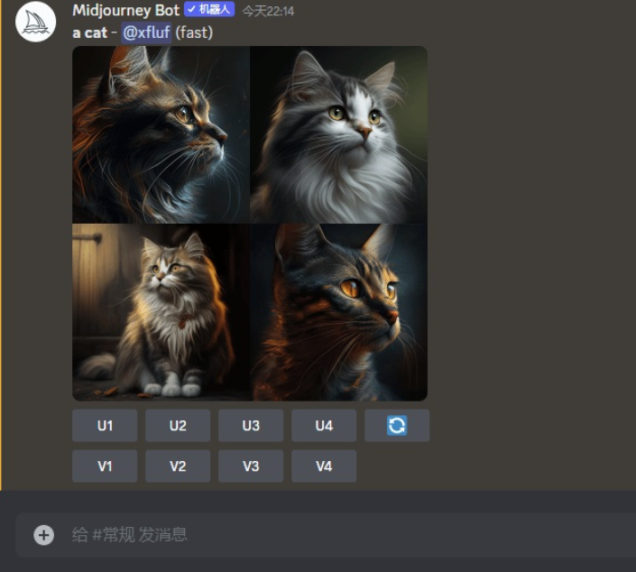 图片[13]-AI 绘画神器 Midjourney 新手使用教程 Midjourney-知云阁资源站