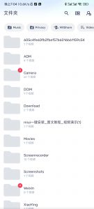 MX Player（MX播放器）-知云阁资源站
