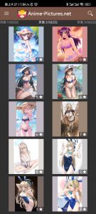 Anime-Pictures 软件-知云阁资源站