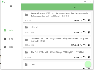 Gopeed 够快下载器（狗屁下载器）-知云阁资源站