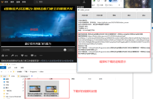 视频号下载利器 video server-知云阁资源站