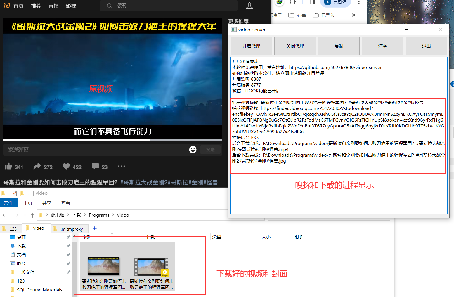 视频号下载利器 video server-知云阁资源站
