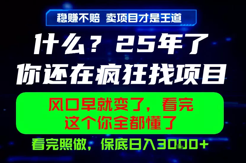 26年,请不要疯狂的找项目做了!卖项目才是真的稳賺不赔,看完照做,保底日入1k+【揭秘】-知云阁资源站