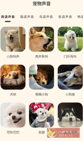 哆啦猫狗翻译器1.2.6高级版-知云阁资源站