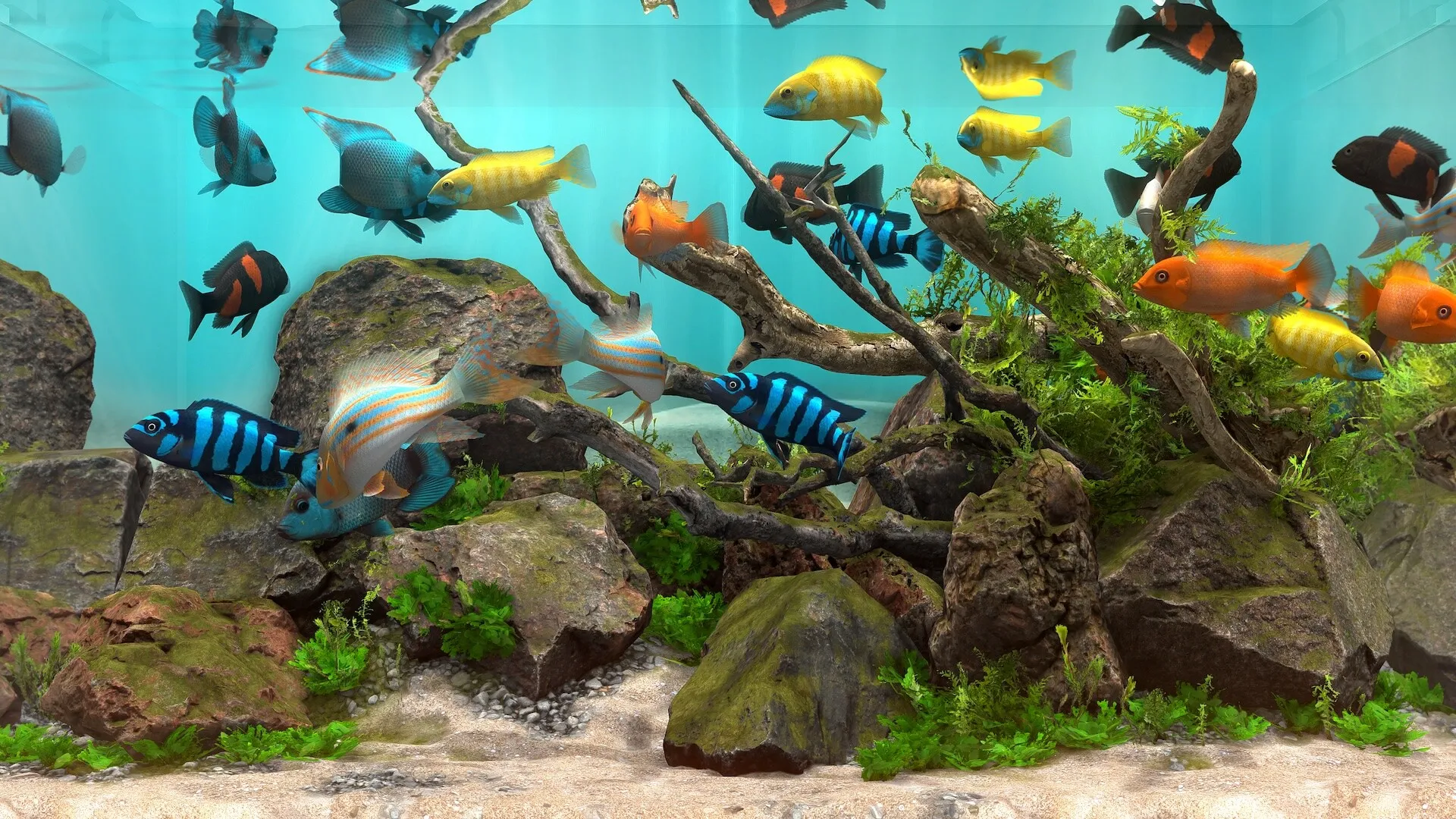 玻璃背后:水族馆模拟器/Behind Glass: Aquarium Simulator 玻璃背后:水族馆模拟器/Behind Glass: Aquarium Simulator