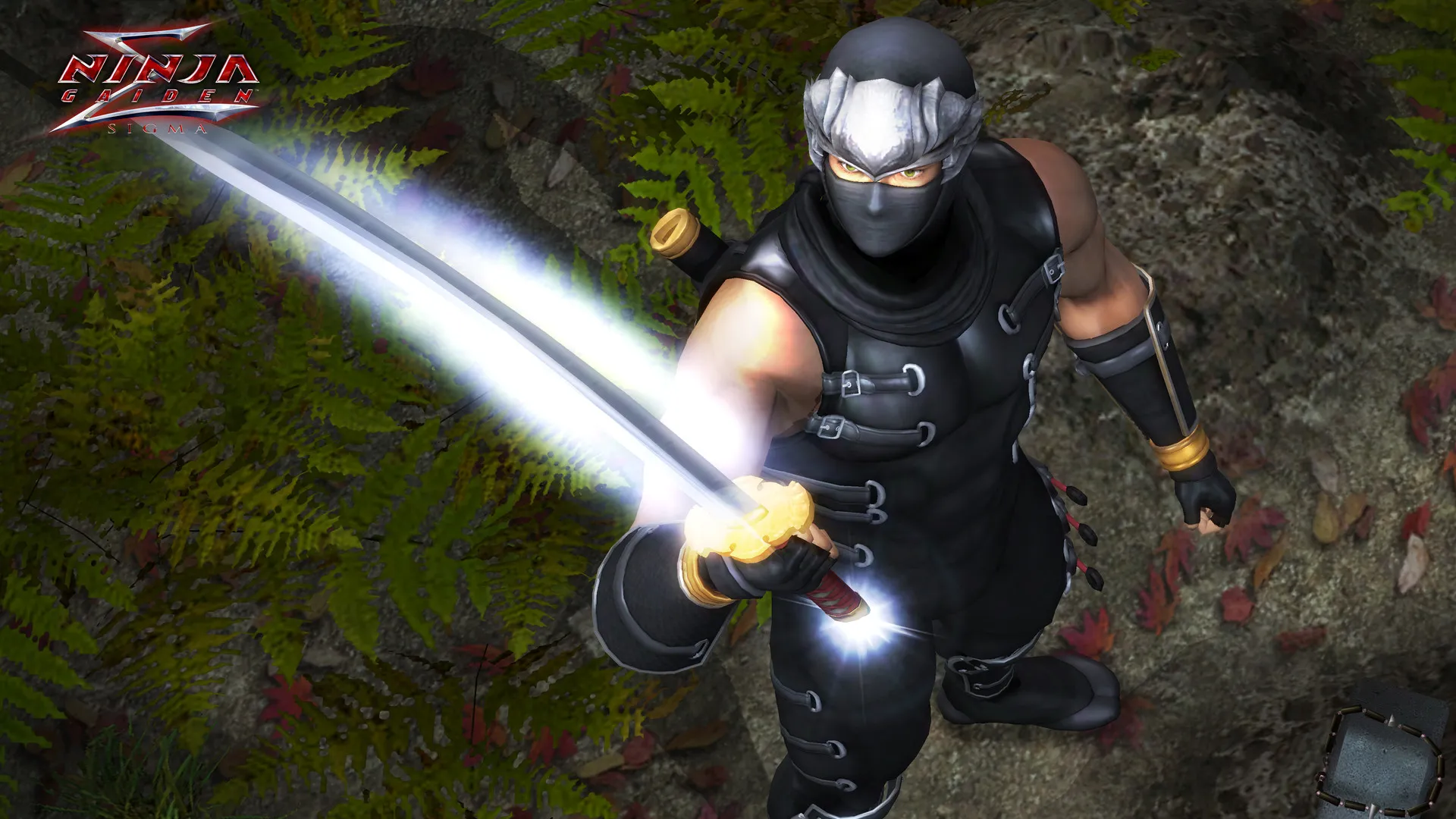 《忍者龙剑传：大师合集/NINJA GAIDEN: Master Collection》PC中文版下载-含v1.0.0.3