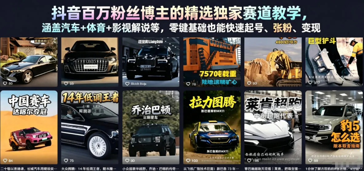 抖音百万粉丝博主的精选独家赛道教学,涵盖汽车+体育+影视解说等,零基础也能快速起号、涨粉、变现-知云阁资源站