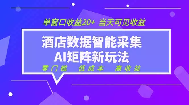 2026酒店数据采集ai智能矩阵新风口 低成本 高收益 当天见收益 单窗口20+-知云阁资源站