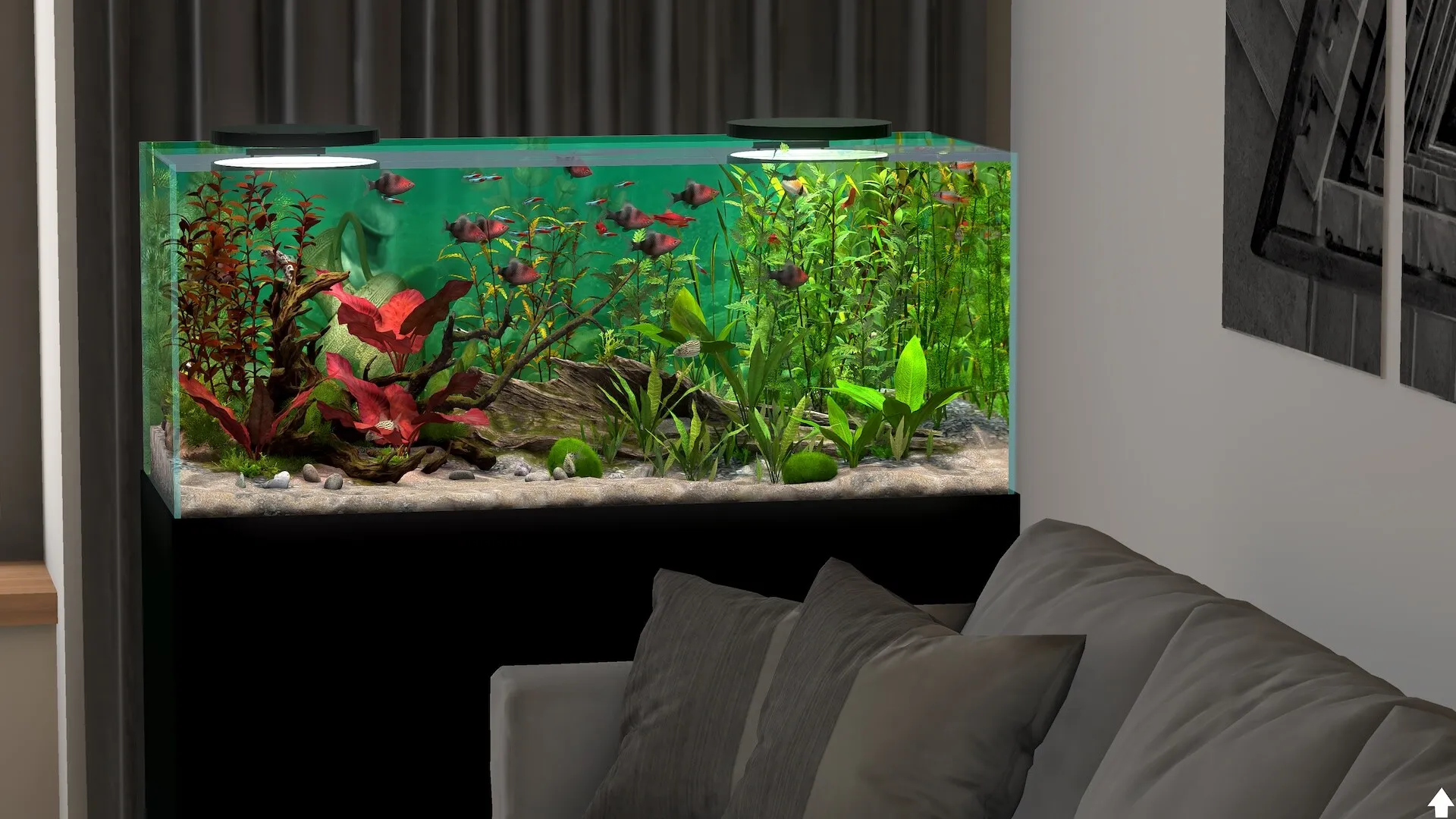 玻璃背后:水族馆模拟器/Behind Glass: Aquarium Simulator 玻璃背后:水族馆模拟器/Behind Glass: Aquarium Simulator