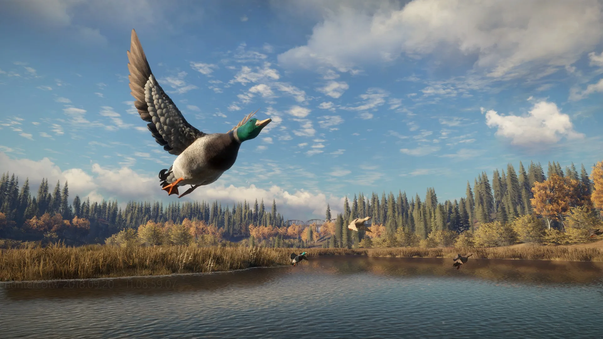 猎人:荒野的召唤/theHunter: Call of the Wild/支持网络联机 猎人:荒野的召唤/theHunter: Call of the Wild/支持网络联机