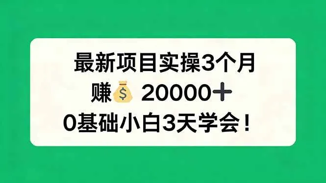 （17856期）最新项目实操3个月，赚钱20000+，0基础小白3天学会！-知云阁资源站