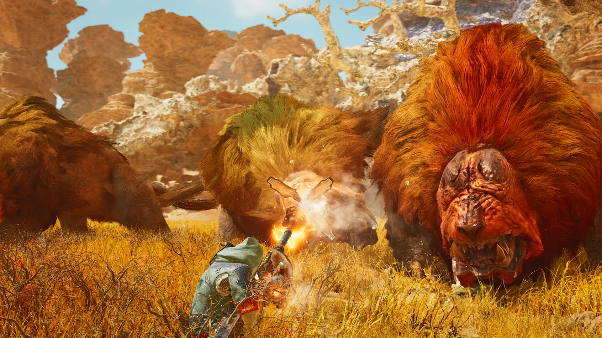 怪物猎人:荒野/Monster Hunter Wilds 怪物猎人:荒野/Monster Hunter Wilds