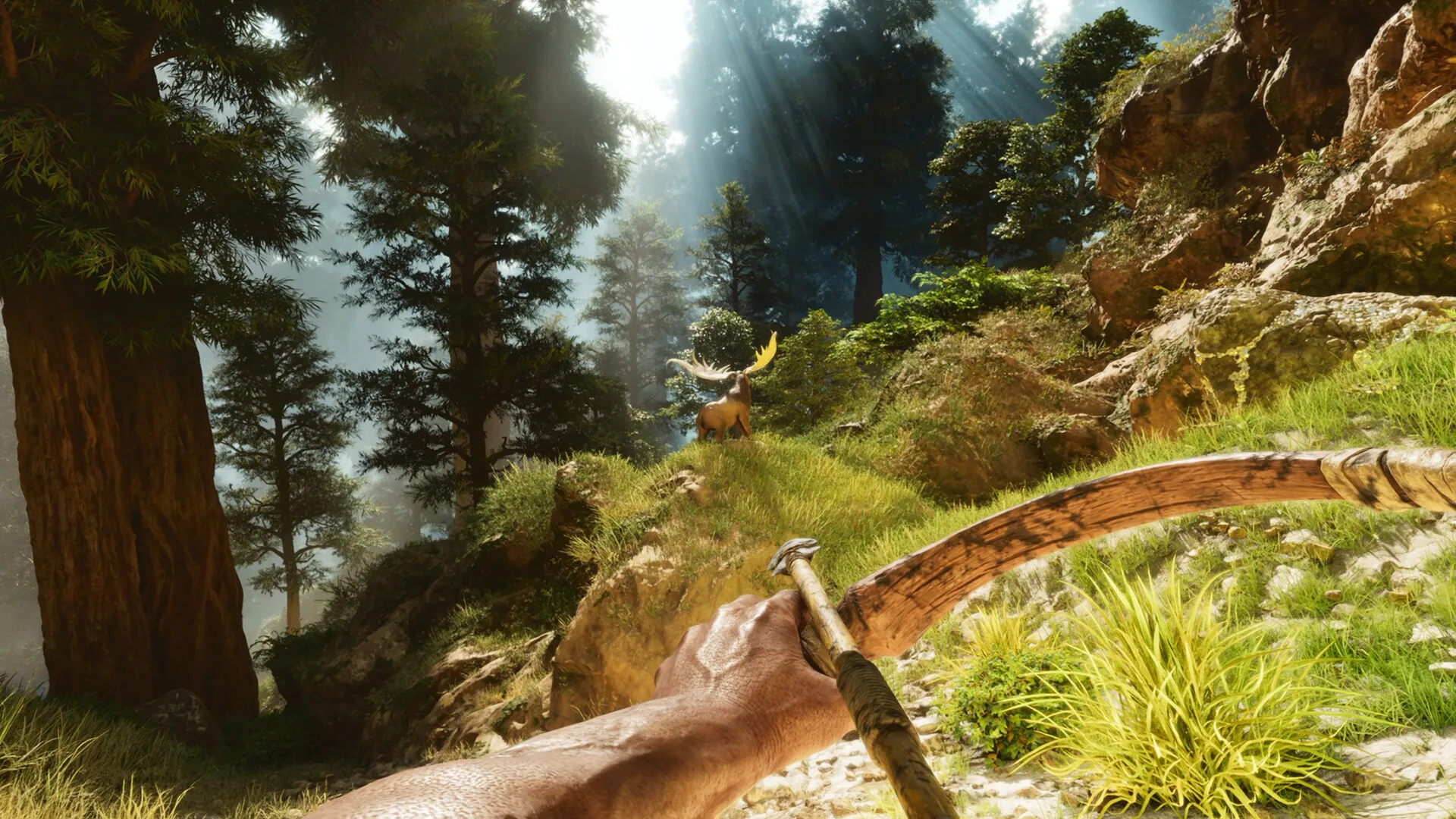 方舟: 生存飞升/ARK: Survival Ascended 方舟: 生存飞升/ARK: Survival Ascended