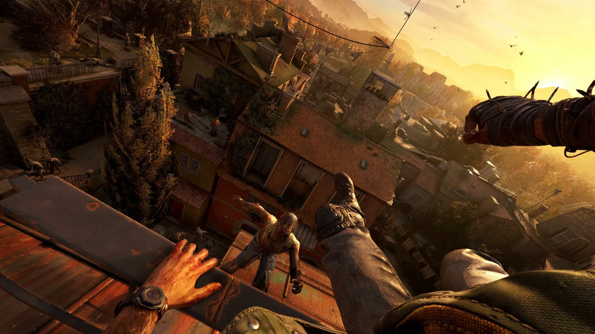 消逝的光芒:困兽失地复苏版/Dying Light: The Beast Restored Land-知云阁资源站