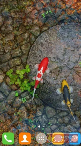 Water Garden Live Wallpaper 锦鲤3D动态壁纸2.05专业版-知云阁资源站