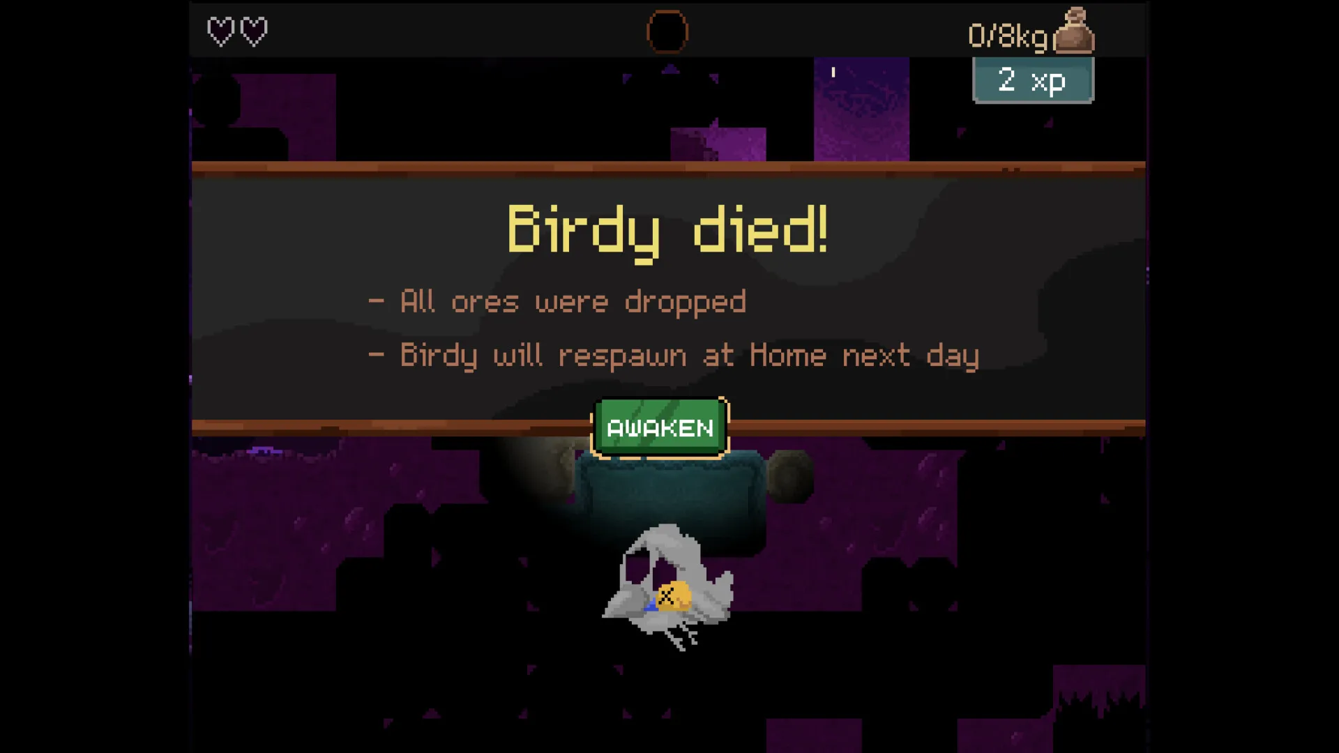 钻头鸟/Drill Bird