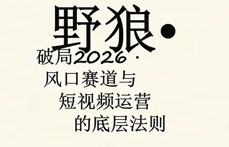 野狼团队·多平台实操运营课(更新4月) 野狼团队·多平台实操运营课(更新4月)