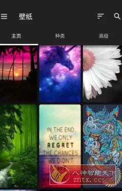 ZEDGE 铃声和壁纸v8.94.0高级版-知云阁资源站