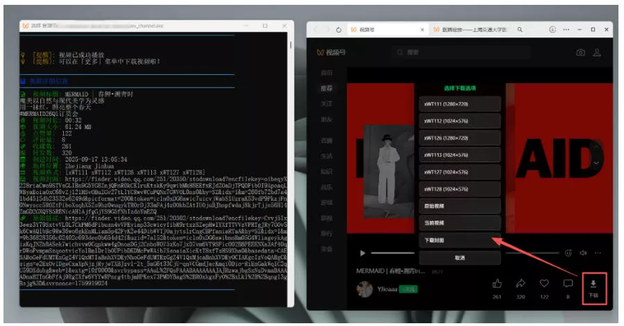 Github热门工具，视频号下载神器又来了！一键注入下载按钮，轻松下载，使用便捷wx_channel-知云阁资源站