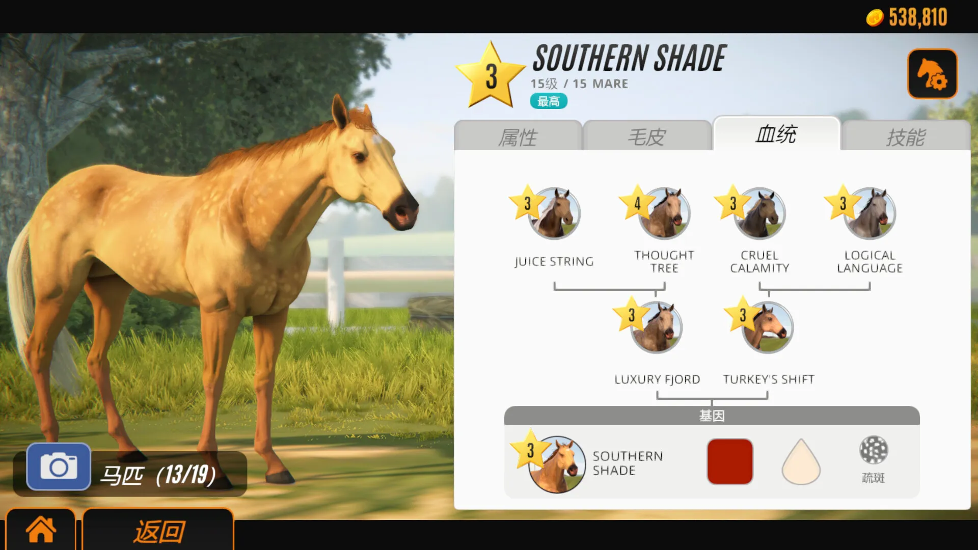 家族传奇:马匹养成竞技/Rival Stars Horse Racing: Desktop Edition-知云阁资源站
