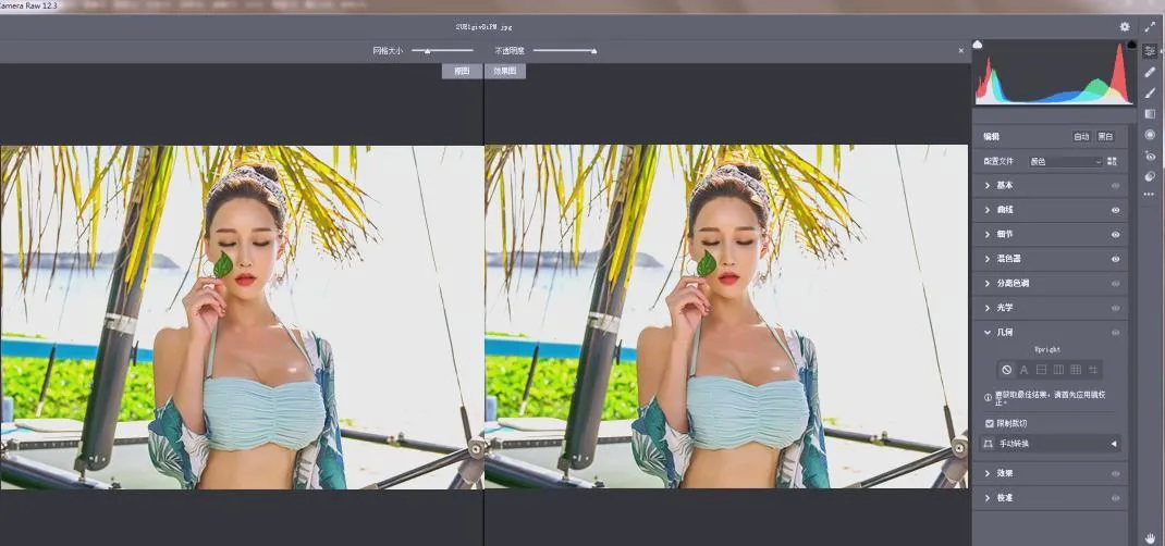 RAW处理Adobe Camera Raw v18.3.1中文版-知云阁资源站