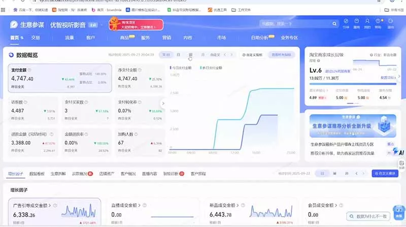 淘宝VIP特训课:蓝海选品+付费投放|短视频AI运营|大促起爆全流程,破解店铺无流量无利润难题-知云阁资源站