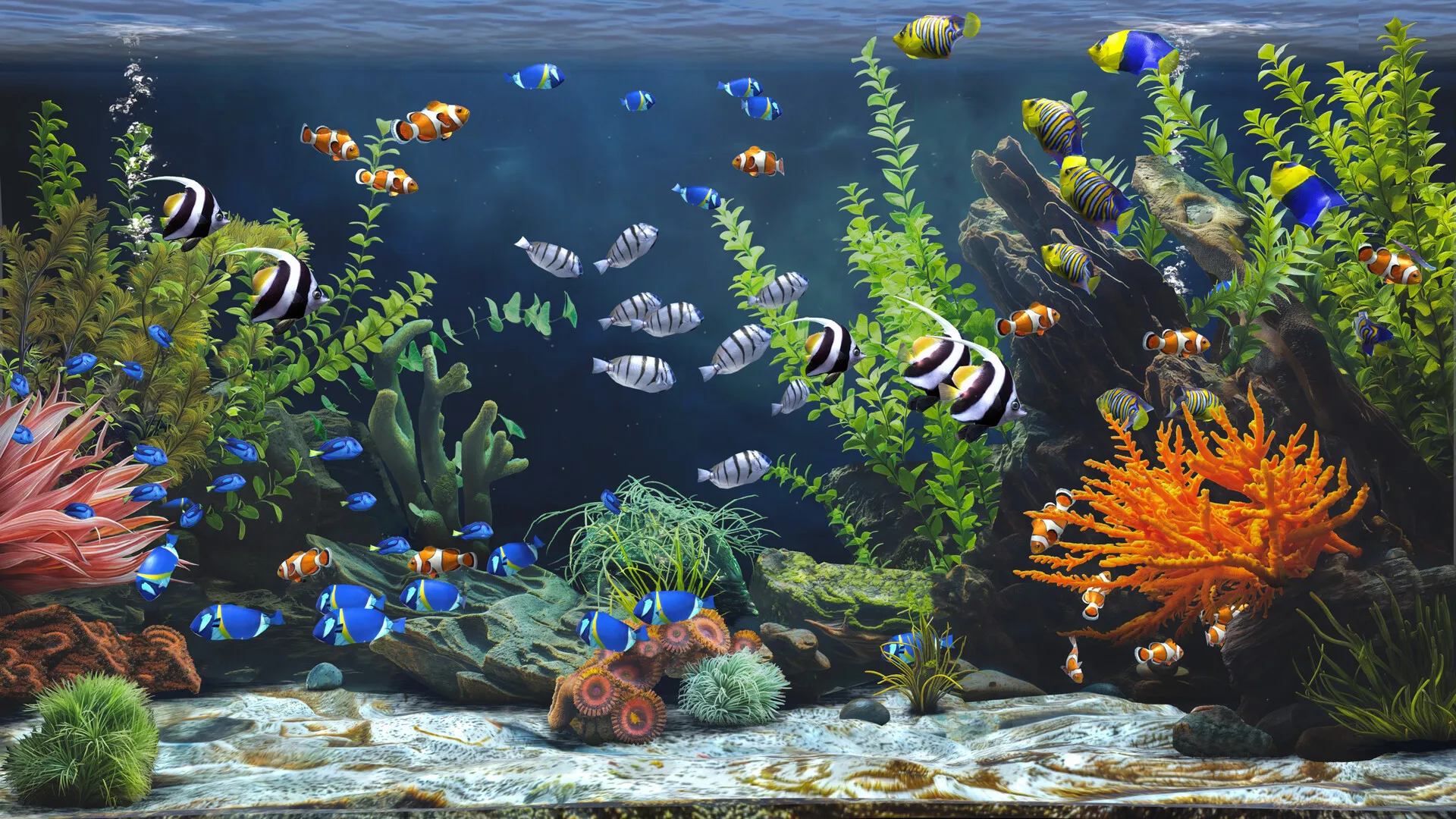 禅意水族馆/Zen Aquarium-知云阁资源站