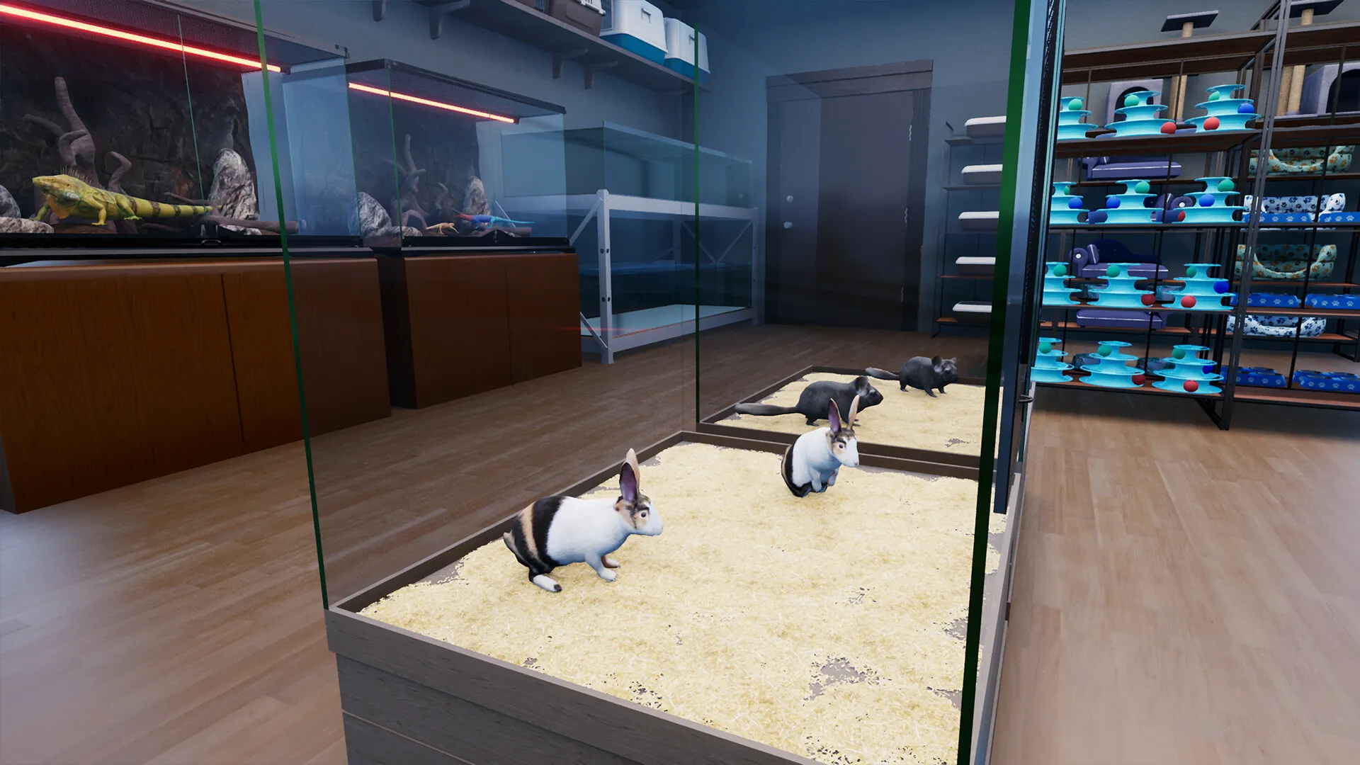 异域风情2:宠物店模拟器/Exotica 2: Pet Shop Simulator 异域风情2:宠物店模拟器/Exotica 2: Pet Shop Simulator