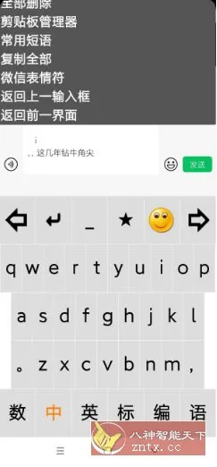 点明输入法v3.0.0729 –专为视障朋友打造的盲用输入法-知云阁资源站