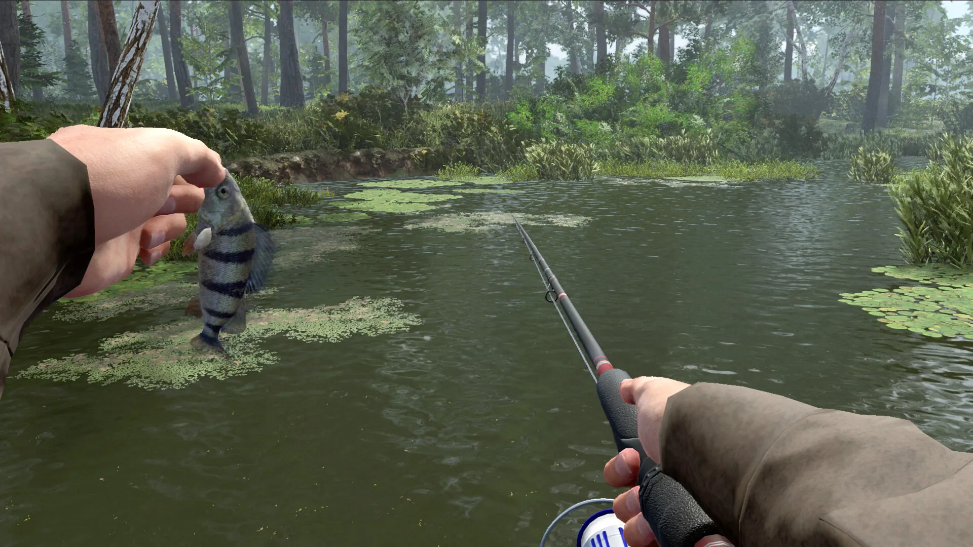 专业钓鱼2/Professional Fishing 2
