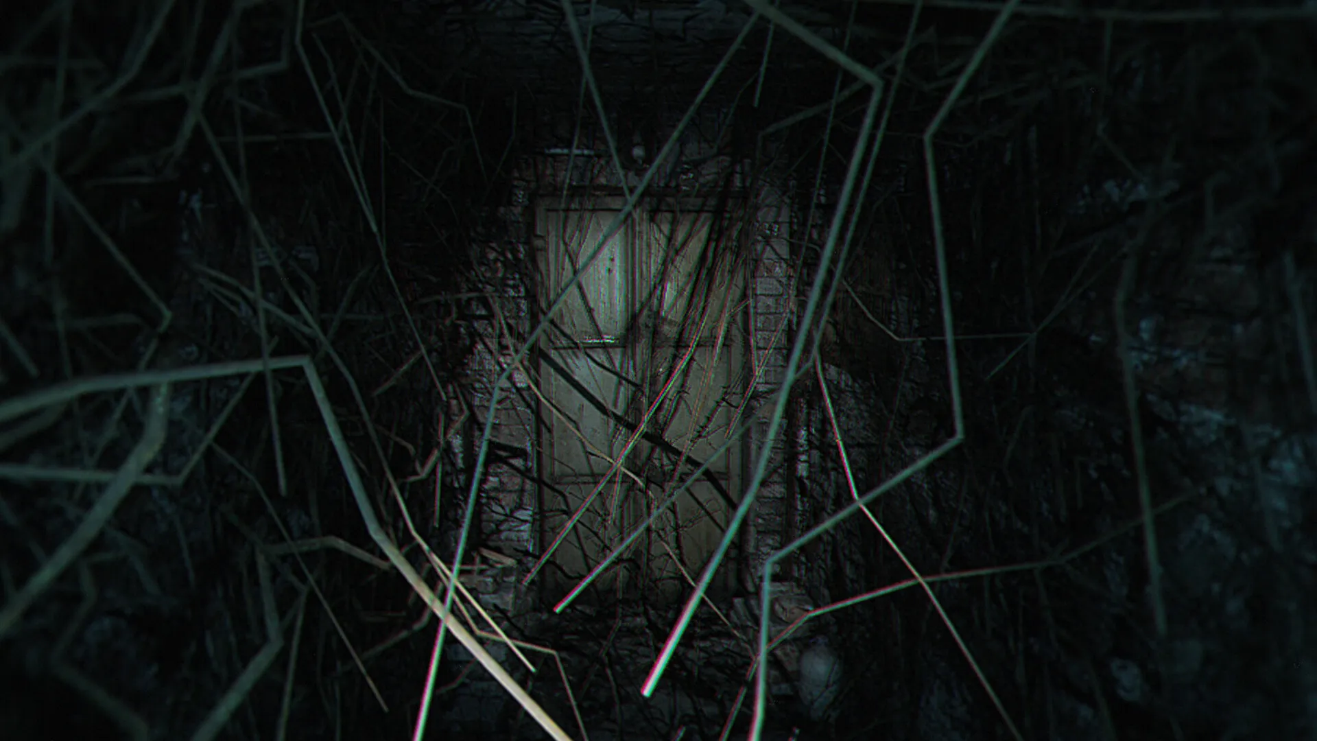 诡异之光/The Strange Lights 诡异之光/The Strange Lights