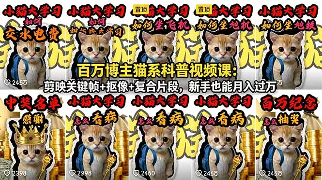 百万博主猫系科普视频课：剪映关键帧+抠像+复合片段，新手也能月入过万-知云阁资源站