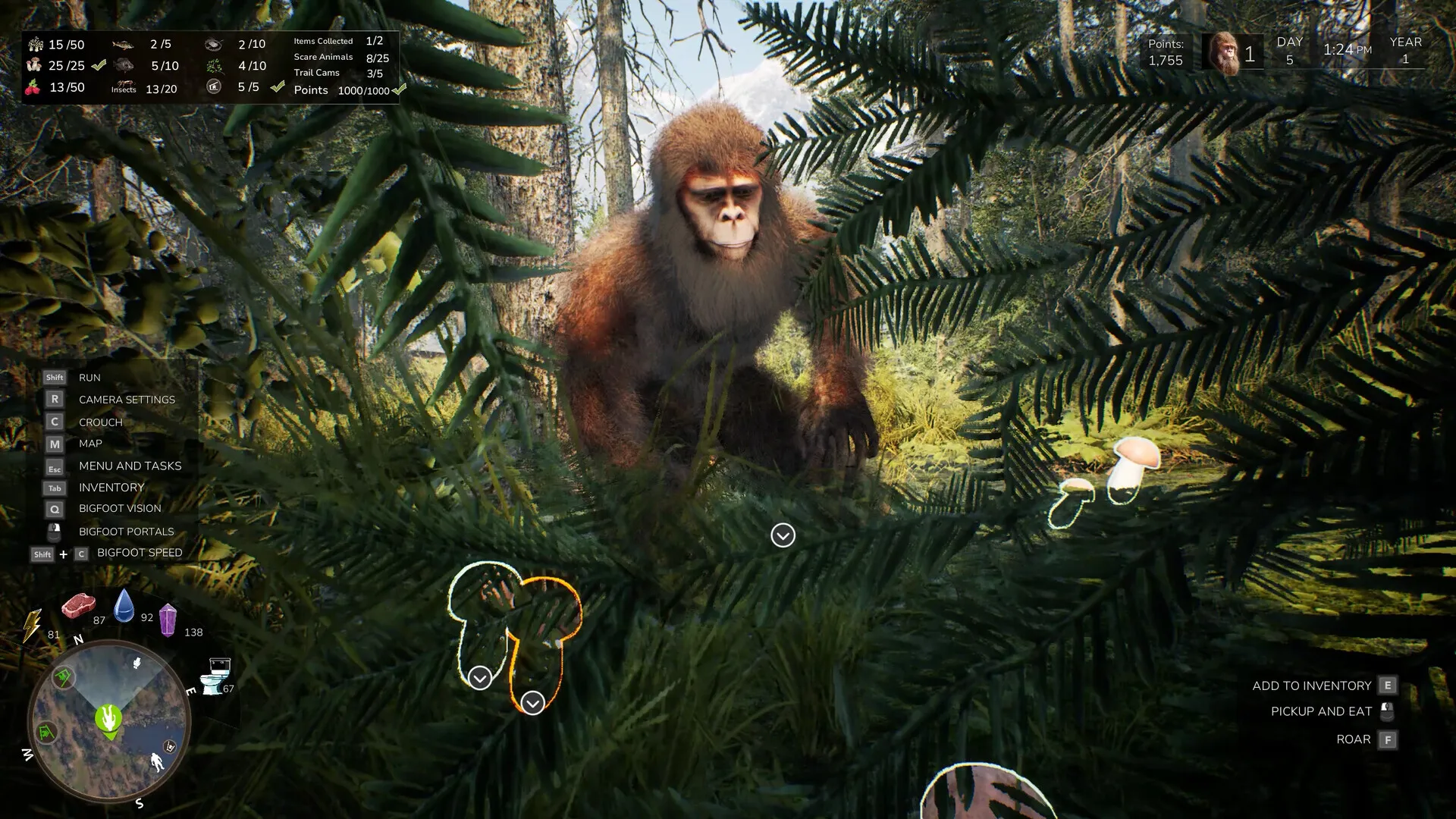 大脚怪生活/Bigfoot Life