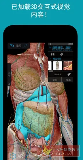 Human Anatomy Atlas 2026 人体解剖学图谱v2026.00.019高级版-知云阁资源站