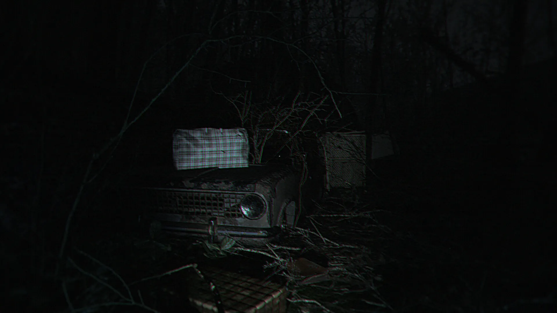 诡异之光/The Strange Lights 诡异之光/The Strange Lights