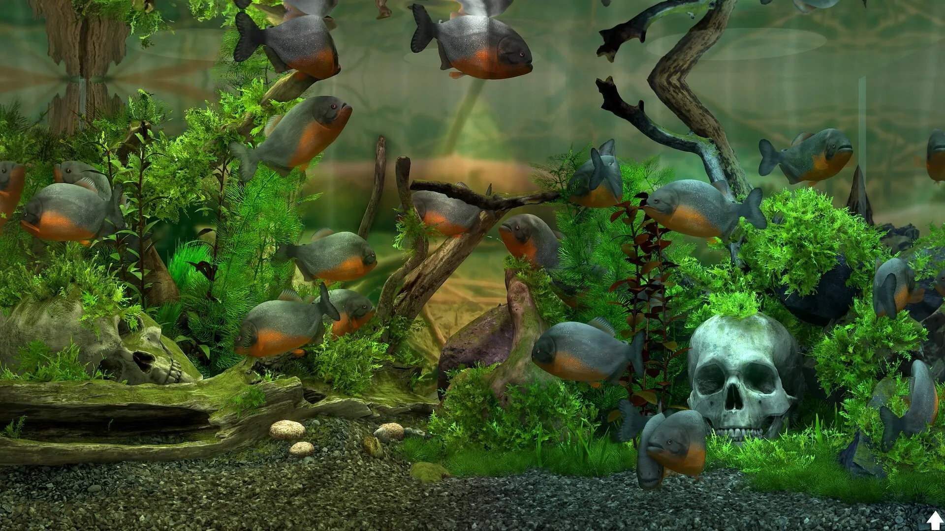 玻璃背后:水族馆模拟器/Behind Glass: Aquarium Simulator 玻璃背后:水族馆模拟器/Behind Glass: Aquarium Simulator