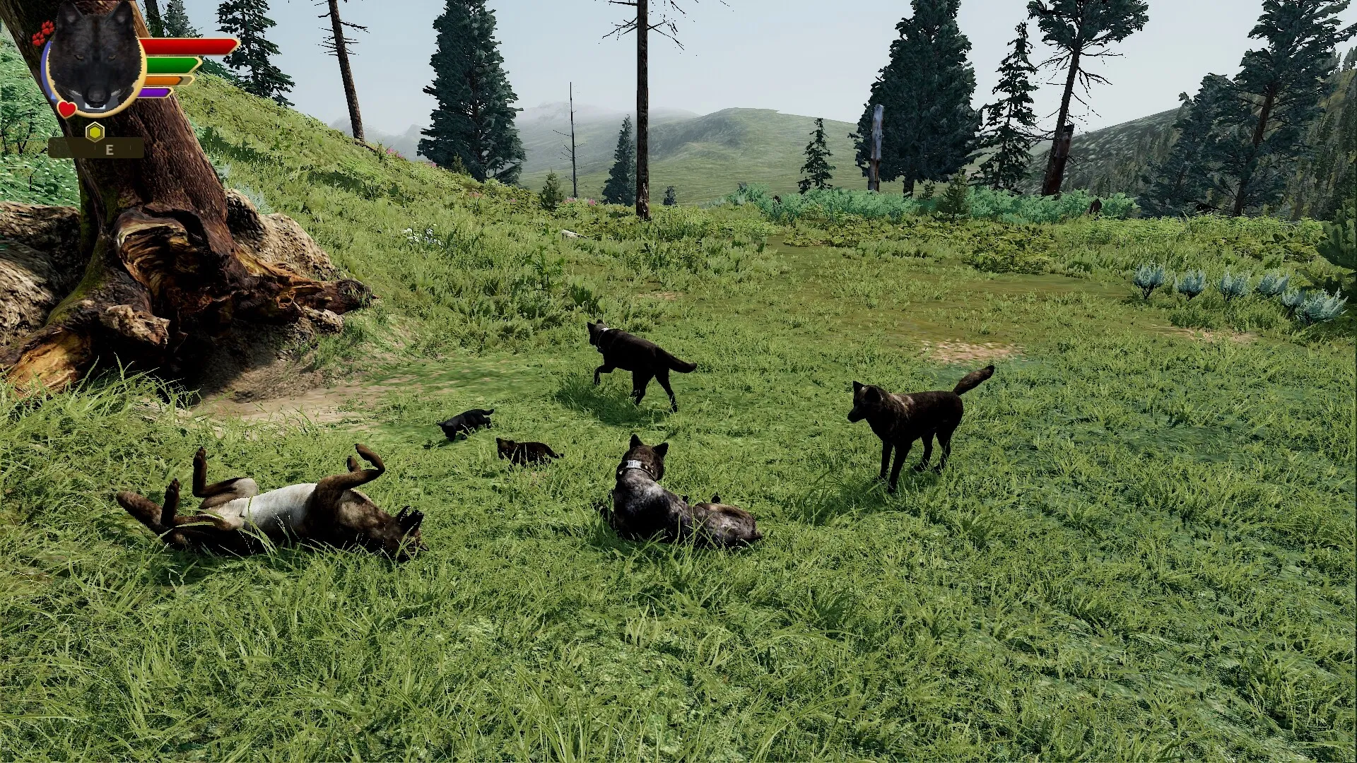 野狼谜踪:周年纪念版/WolfQuest: Anniversary Edition 野狼谜踪:周年纪念版/WolfQuest: Anniversary Edition