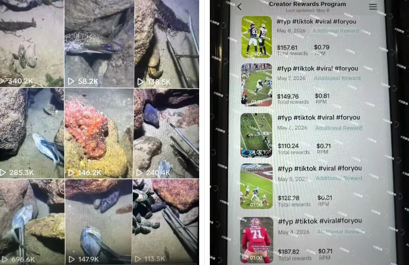Tiktok中视频解说教程，体育+温情文案双赛道实操教程一站式带你落地，教你出海賺美刀-知云阁资源站