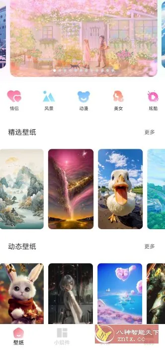 91熊猫桌面主题v1.0.6高级版-知云阁资源站