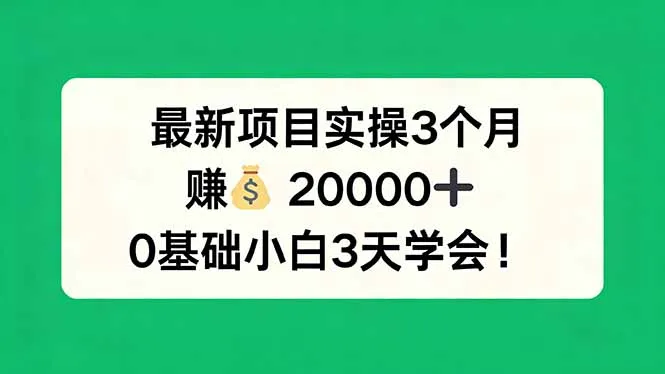 最新项目实操3个月，赚钱20000+，0基础小白3天学会！-知云阁资源站