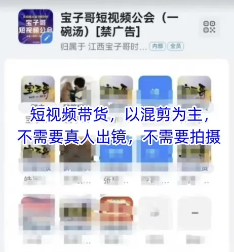 宝子哥头部团队短视频带货,以混剪为主,不需要真人出镜,不需要拍摄【更新26年3月】-知云阁资源站