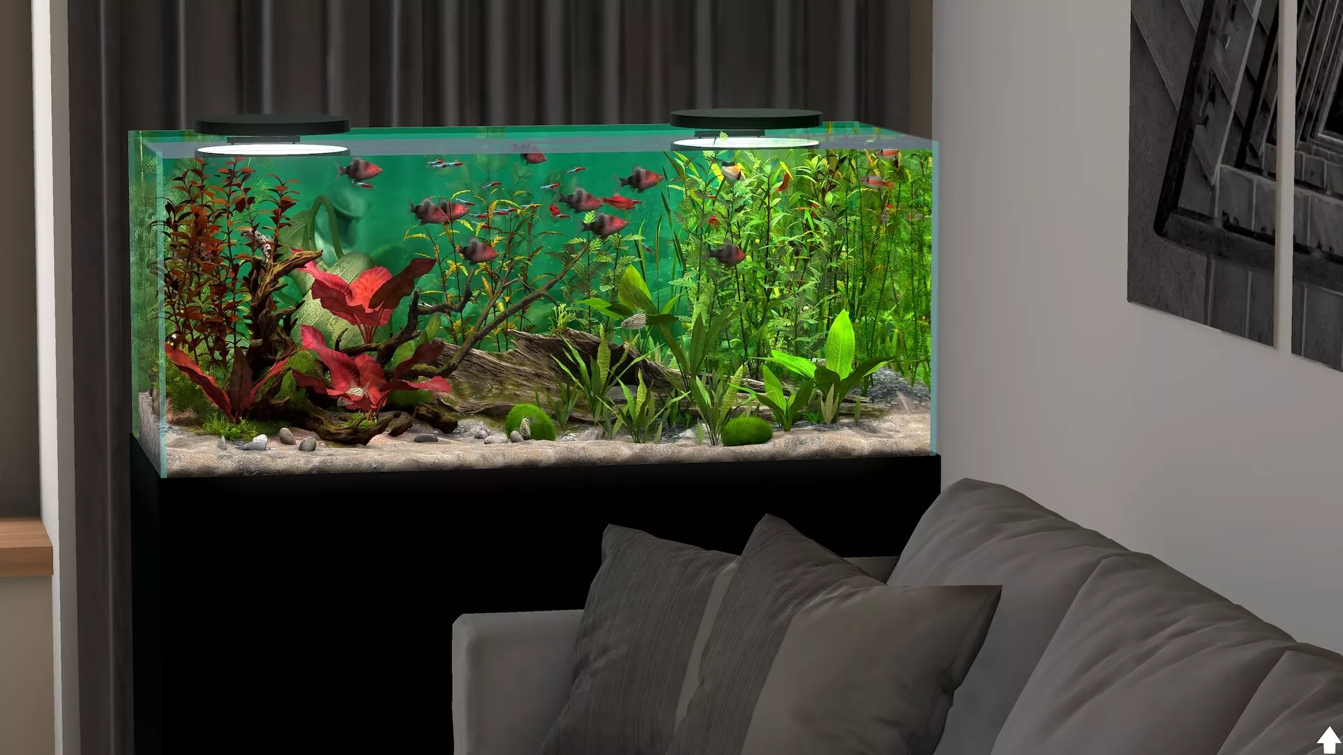 玻璃背后:水族馆模拟器/Behind Glass: Aquarium Simulator 版本更新 玻璃背后:水族馆模拟器/Behind Glass: Aquarium Simulator 版本更新